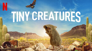 Nature & Ecology Documentaries | Netflix Official Site Nature & Ecology Documentaries | Netflix Official Site